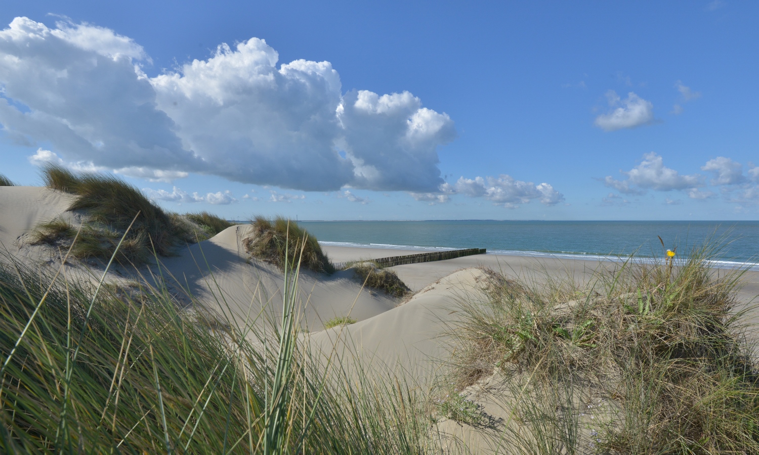 fotowand duinen